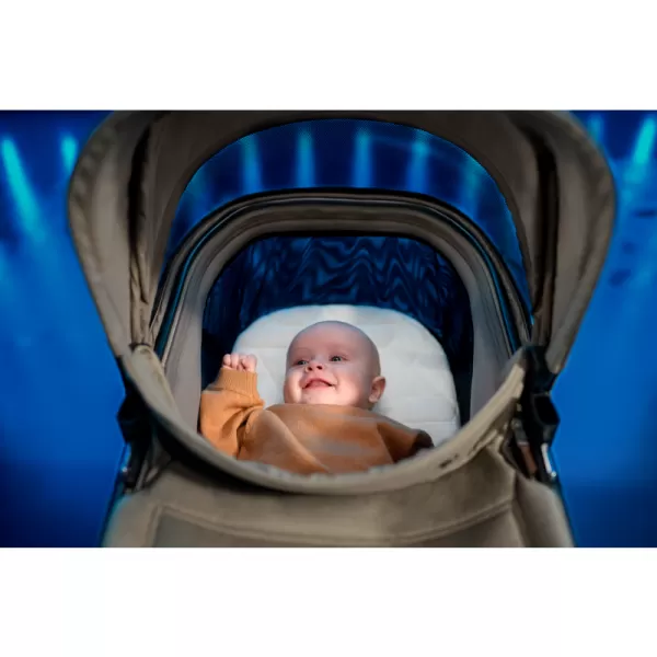 Maxi Cosi Fame kočík 2v1