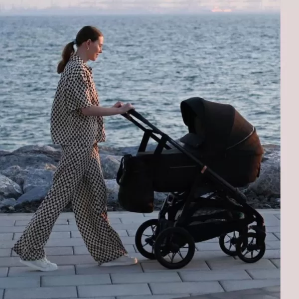 Inglesina set aptica xt