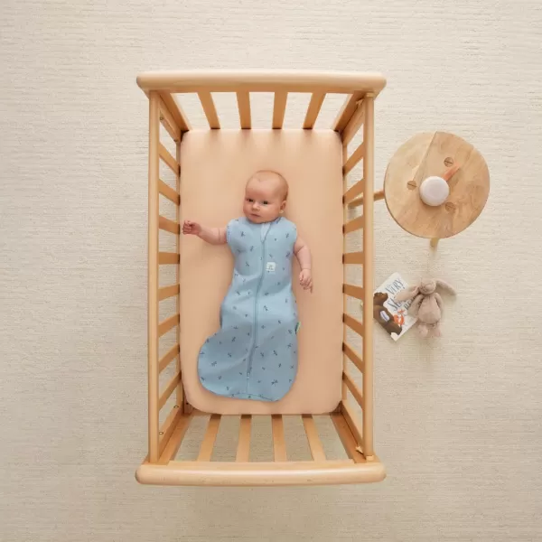 Ergopouch zábal a spacák 2in1 Cocoon Bon Appetit 6-12 m, 8-10 kg, 0,2 tog