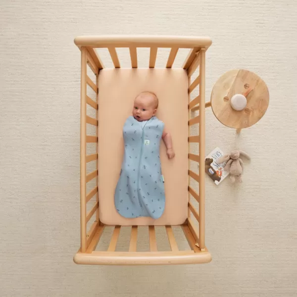 Ergopouch zábal a spacák 2in1 Cocoon Bon Appetit 6-12 m, 8-10 kg, 0,2 tog