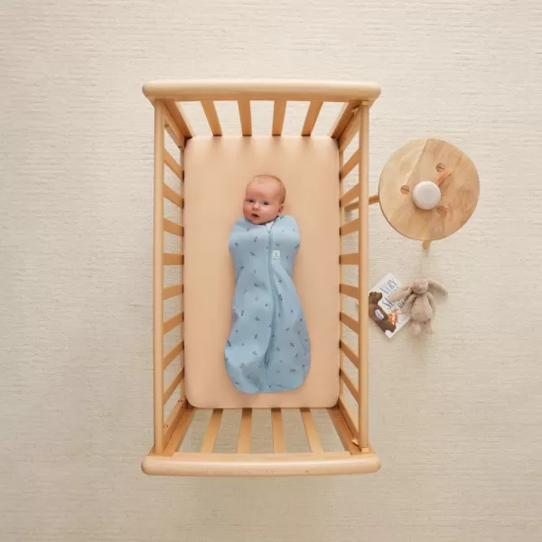 Ergopouch zábal a spacák 2in1 Cocoon Bon Appetit 6-12 m, 8-10 kg, 0,2 tog