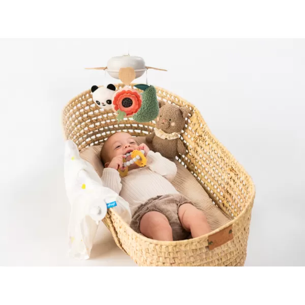 Taf Toys Sada hračiek novorodenca Luxe